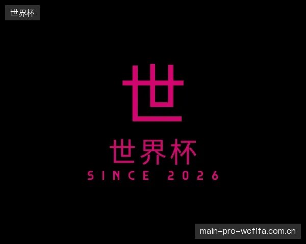 介绍世界杯公司